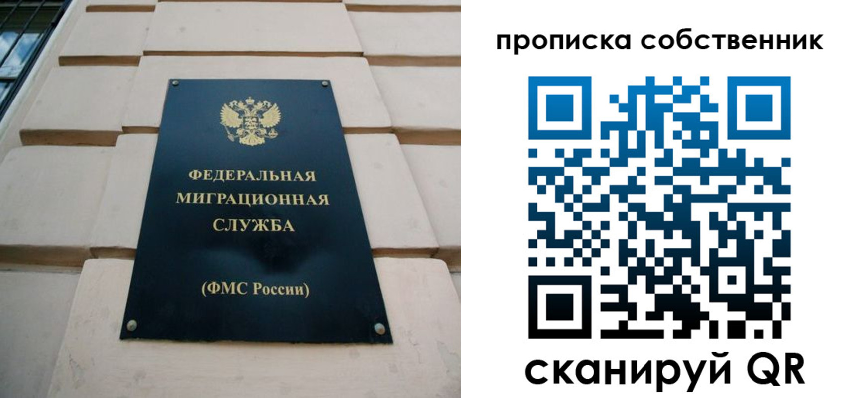 прописка законно в Зеленоградске